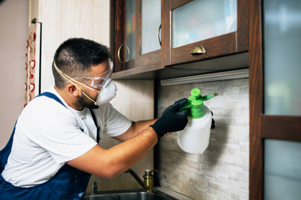 Best Local Pest Control Services  in Warrensburg, MO