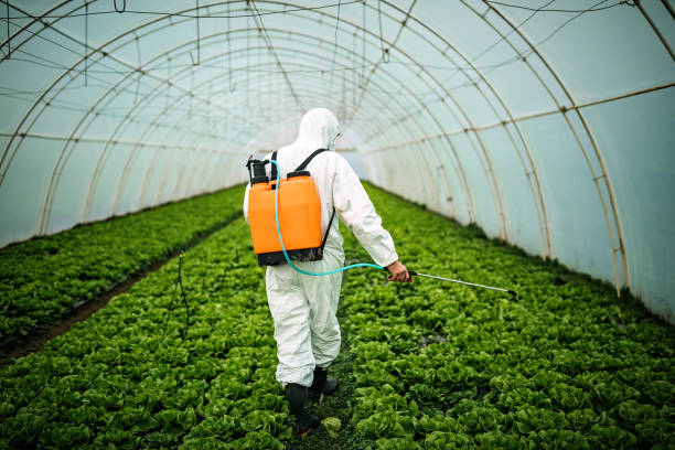 Pest Control Cost in Warrensburg, MO