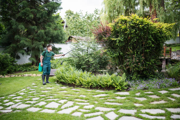 Best Pest Prevention Services  in Warrensburg, MO