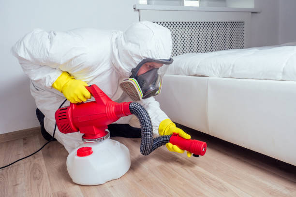 Best Affordable Pest Control Services  in Warrensburg, MO