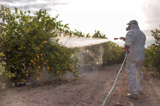 Best Affordable Pest Control Services  in Warrensburg, MO