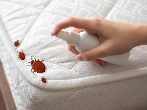 Best Insect Control  in Warrensburg, MO